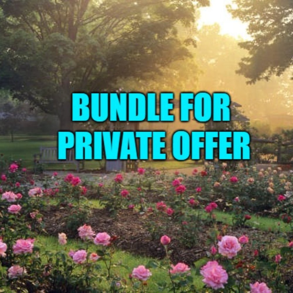 Savannah Jane Floral Embroidered Boho Top • small - Picture 5 of 5